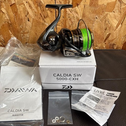 Daiwa caldia 5000 cxh - sw, 5000-cxh