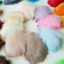 5''-8'' Long Ostrich Feathers