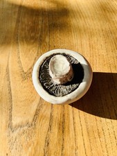 Amazing Vintage Ceramic Field