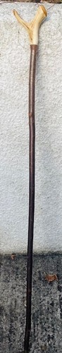 Stag horn thumb - horn,