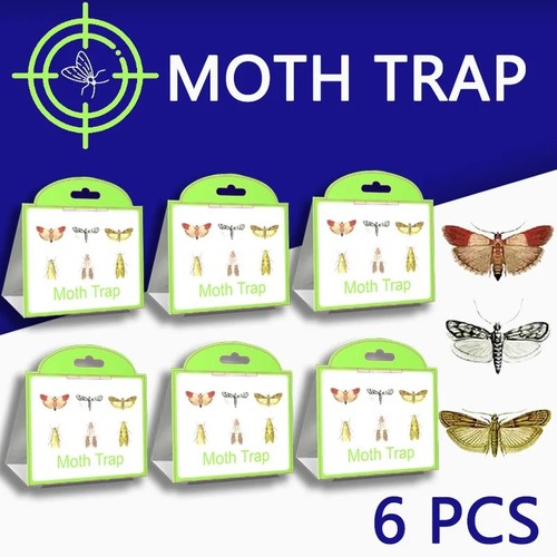 Pheromone moth traps sticky - pheromone,