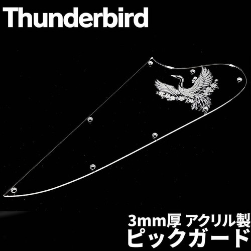 Gibson thunderbird acrylic - gibson,