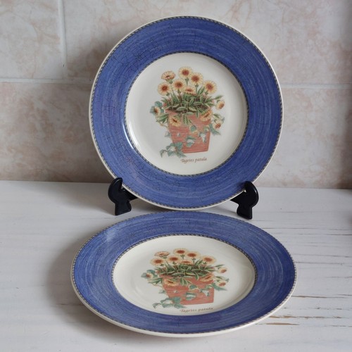 Wedgwood sarah garden plate - wedgwood, sarah's