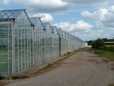 Photo 6x4 Range of greenhouses at West Cranleigh Nurseries Commercial pro c2011