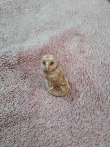 Wade owl - wade,
