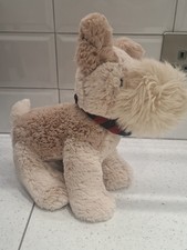 The Little White Company Dog