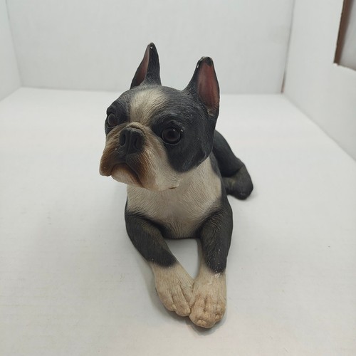 Sandicast boston terrier lying - boston,