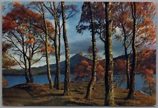 The Shores of Loch Rannoch Perthshire Scotland Postcard