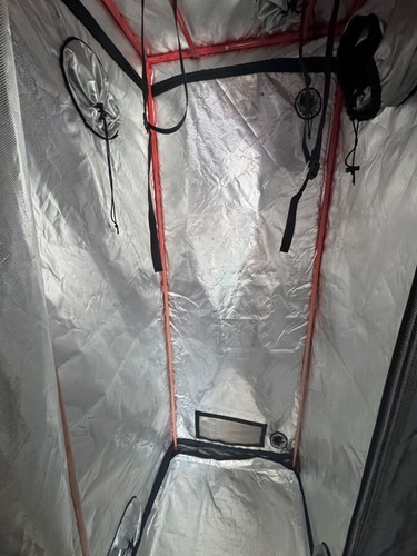 Black orchid hydro box - orchid, hydro-box
