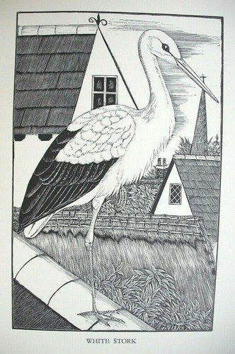 Daglish stork woodcut - woodcut, etching