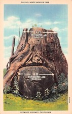 Redwood Highway California