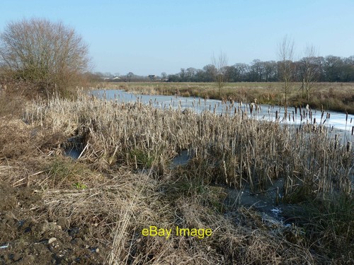 Photo 6x4 frozen - photo, ponds
