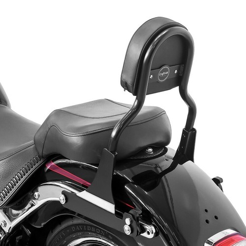 Sissy bar for - bar, cl