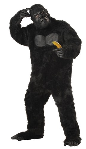 California costumes adult - california,