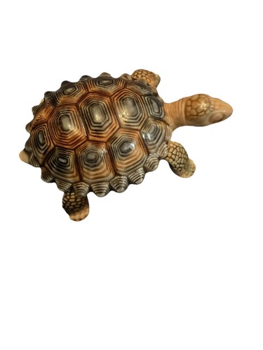 Large wade tortoise - wade,