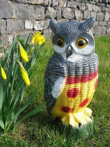 Owl decoy bird deterrent - owl,