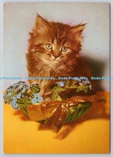 D305313 Cat Ein King Produkt Germany PM Wiesbaden