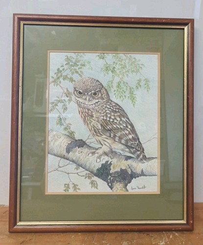 Tawny owl bird artwork framed - tawny,