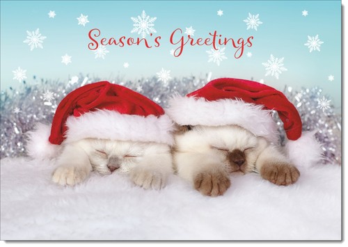 Doodlecards seasons greetings - doodlecards,