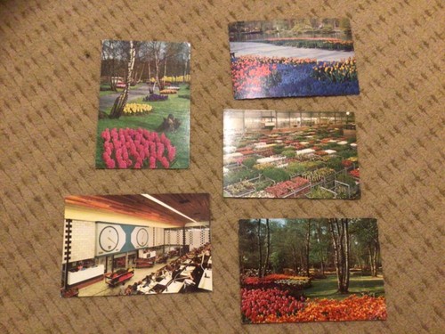 Vintage postcards flowers - postcards,