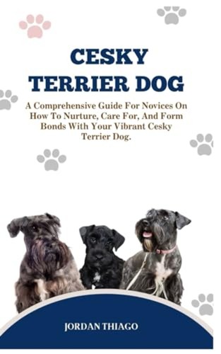 Cesky terrier dog - terrier,
