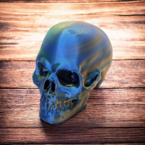 Human skull replica - skull,