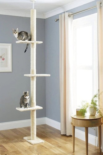 Cat scratching post floor - , to