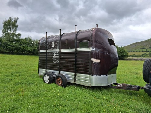 Rice twin axle stall horse - twin,