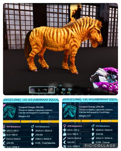 Ark survival ascended pve - survival,