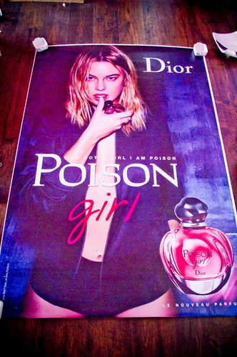 Dior rowe pourcheresse french - dior,