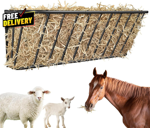 Wall mount steel horse - wall,