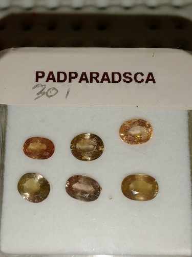 Padparadscha sapphire pack - padparadscha,