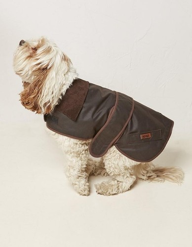 Fatface sussex waxed - fatface, jacket