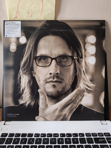 Steven wilson - (porcupine, tree)