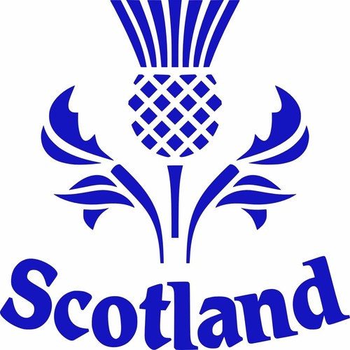 Large scotland thistle car - 20",