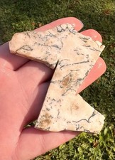 Old Stock- Tree Agate Slab 1.8