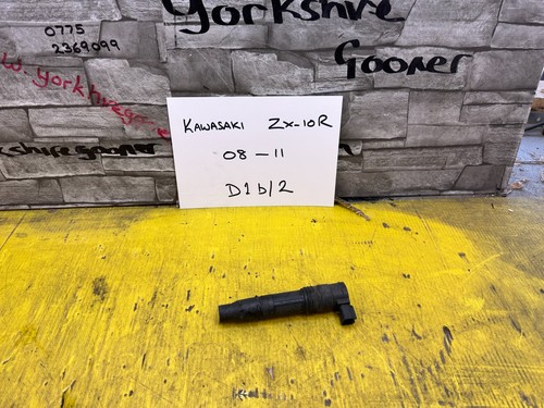 Kawasaki 10r 10 ignition - kawasaki,