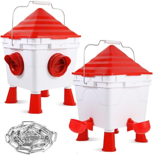 Chicken poultry feeders - chicken,