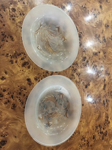 Opaque glass scottish - opaque,