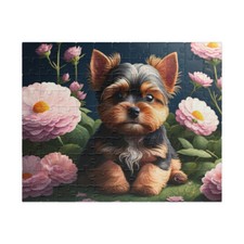Yorkie Puppy Yorkshire Terrier