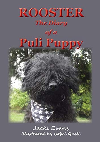 Rooster the diary - rooster, puli