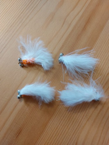 Cats whisker orange - cats,