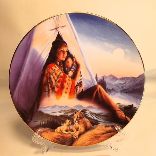 Porcelain plate protector of - plate,