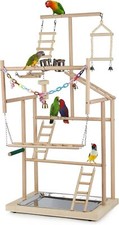 Pet Parrot Playstand Parrots