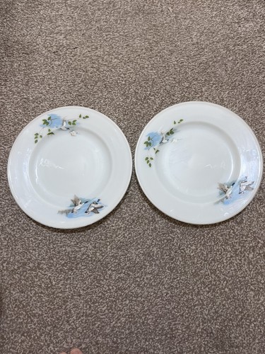 Vintage jaj pyrex wildfowl - 2x,