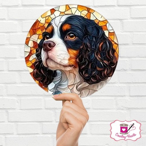 Cavalier king charles - king,