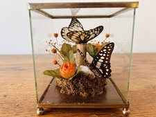 Vintage Decorative Butterfly &