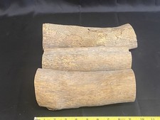 Boxwood Billets and Logs for Carving and Woodturning