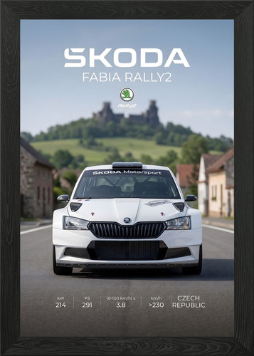Skoda fabia rally2 - rally2, motorsport