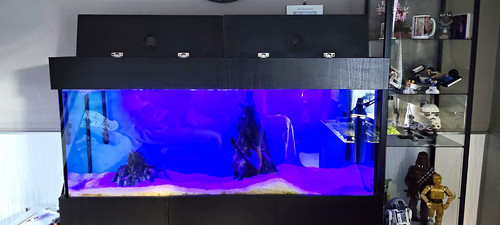 5foot glass rectangular fish - 5foot,